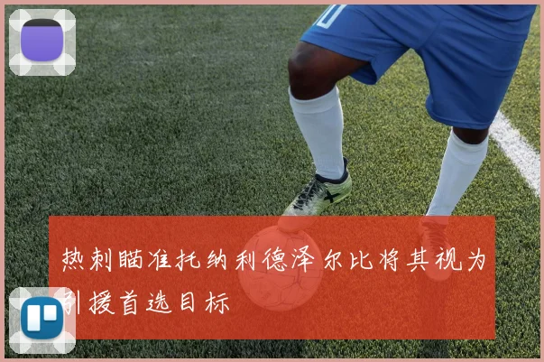 热刺瞄准托纳利德泽尔比将其视为引援首选目标