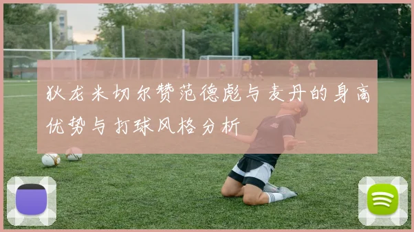 狄龙米切尔赞范德彪与麦丹的身高优势与打球风格分析